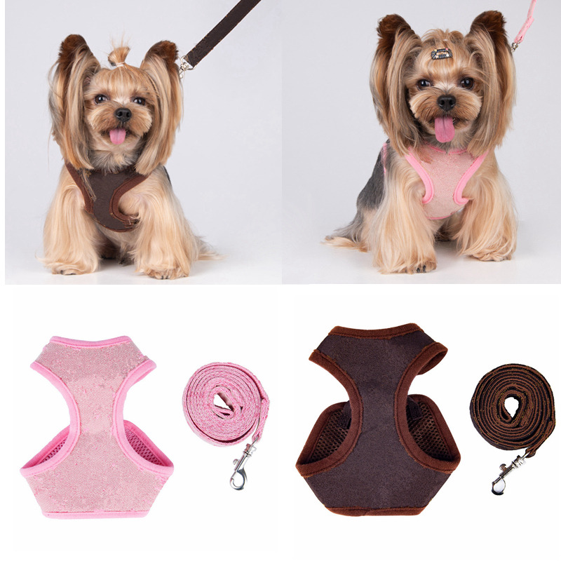 

Fashion Luxury Cat Dog Collars Leashes Set Sunflower Printed Pets Harnesses Breathable Mesh Retro Pet Collar Poodle Schnauzer Small Size Rope Neckcollar