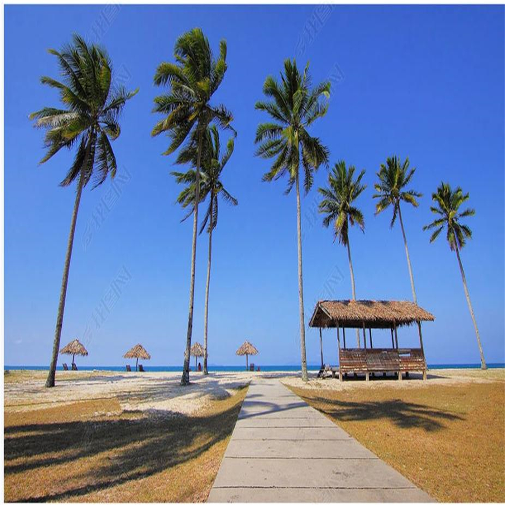 

Photo blue beach 3d murals wallpaper for living room beautiful scenery wallpapers