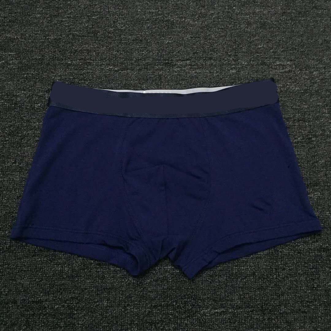 

22ss Cotton Men Boxer Underpants Fashion Man Breathable Soft Underwear Luxury Designer Gay Male Comfort Cueca Boxer Ropa Interior Hombre Shorts, Gray