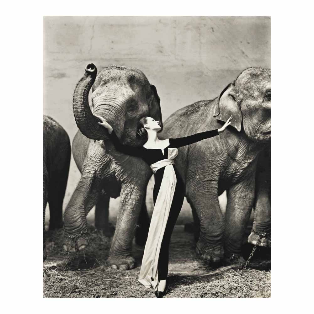 Richard Avedon Dovima With Elephants Evening Dress Poster Painting Home Decor Framed Or Unframed Photopaper Material-image-700586793