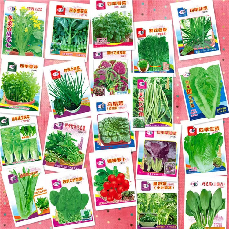

10kinds of Vegetable seeds Planters 5000pcs 20packs/lot different Seed very Fresh and Delicious Chinese Food for Garden supply.