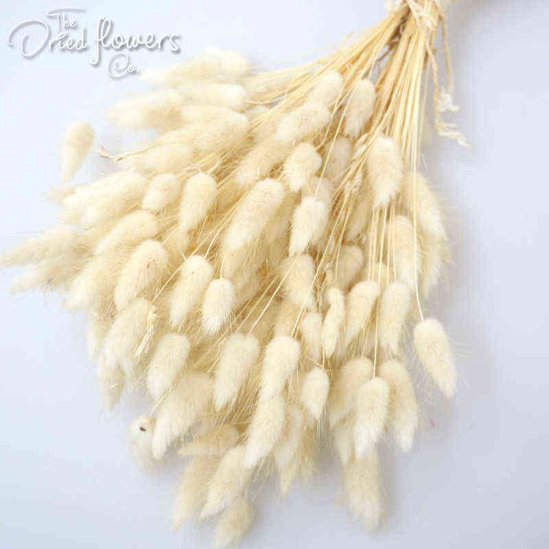 

150Pcs/lot Dried Flowers Home Decor Natural Plants Bouquet Lagurus Ovatus Wedding Home Easter Decoration colorful Real Flowers 211027