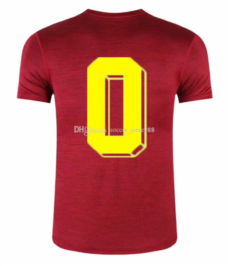 

Custom Men's soccer Jerseys Sports SY-20210120 football Shirts Personalized any Team Name & Number
