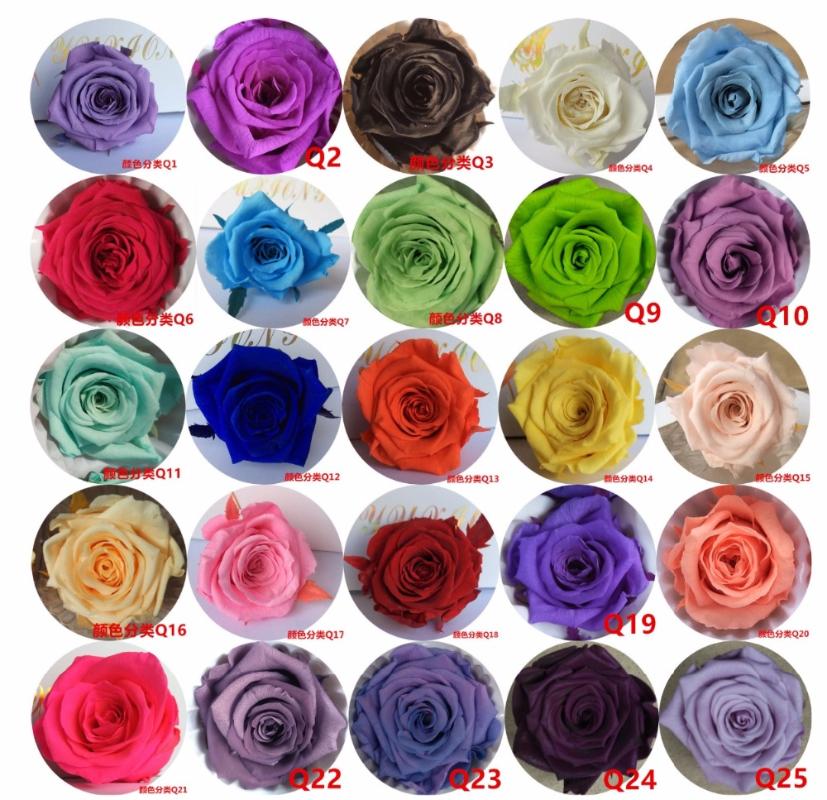 

24pcs 2-3cm Preserved Flower Rose Bud Head For Wedding Party Holiday Birthday Velentine's Day Gift Favor Decorative Flowers & Wreaths