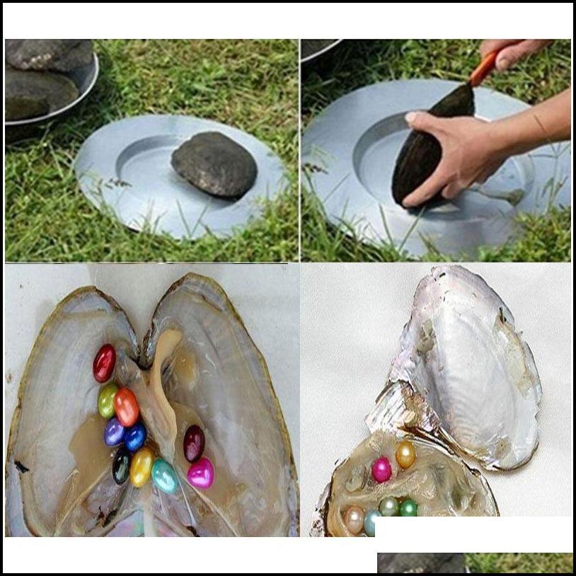 

Gemstones Jewelry Oval Oyster 6-7Mm Mix 15 Color Fresh Water Natural Pearl Gift Diy Loose Decorations Vacuum Packaging Wholes Wmtiik Luckyha