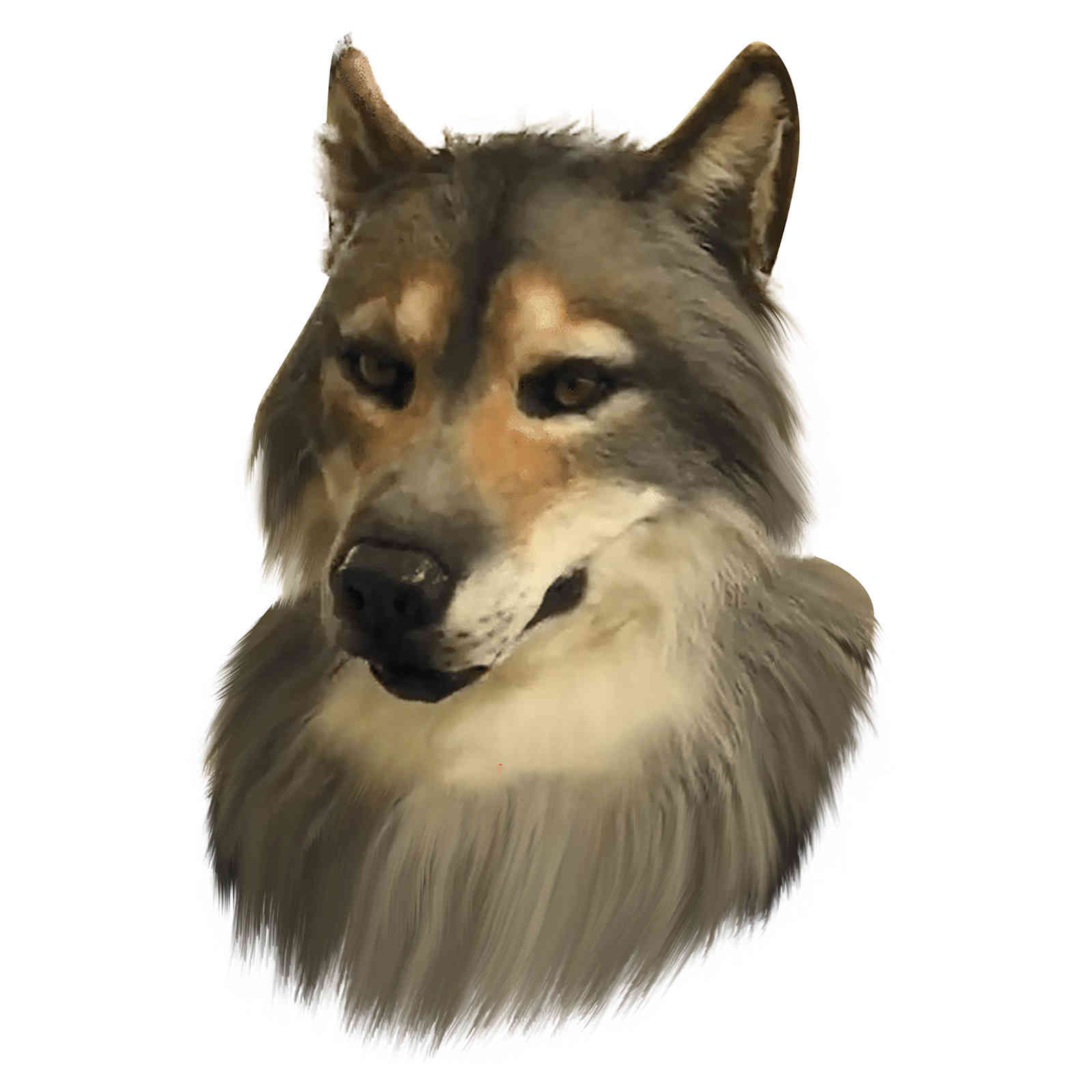 

Realistic wolf mask, plush clothing hat, funny Cosplay mask, party decoration, toy crawling