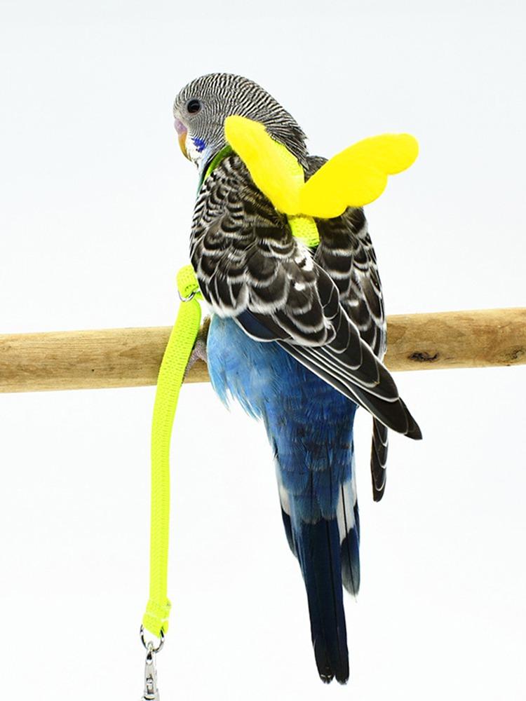 

Other Bird Supplies 1Pc Adjustable Parrot Harness Leash Set Anti-bite Training For Small Birds Cockatiel Parrots Outdoor Flying Rope