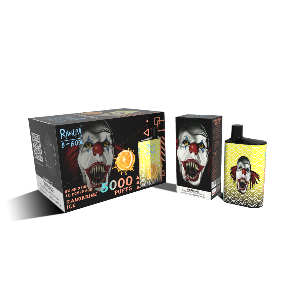 

RandM Electronic Cigarettes Atomizer 5000Puffs ecigarette Disposable Type-C rechargeable vapes 16 Colors