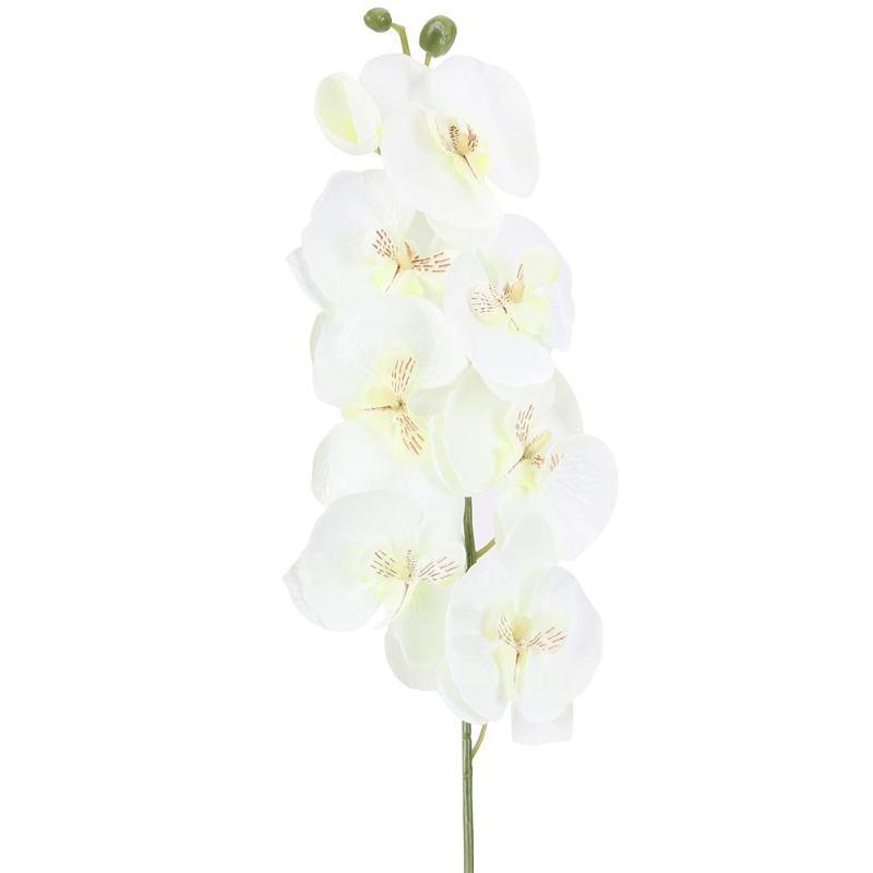 

10Pcs/lot Lifelike Artificial Butterfly Orchid flower Silk Phalaenopsis Wedding Home DIY Decoration Fake Flowers 1464 V2, Random color