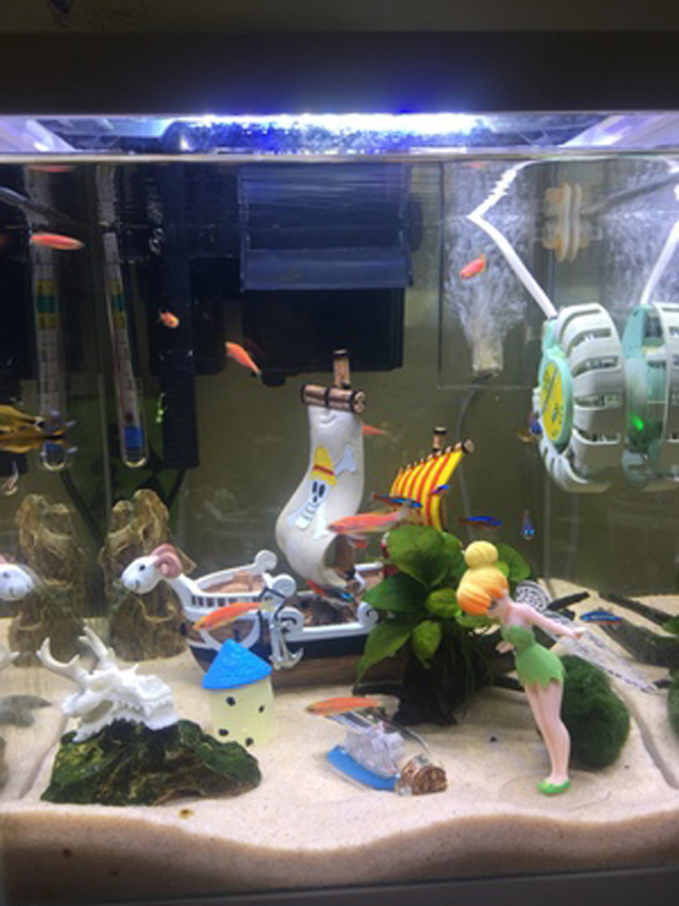 one piece anime aquarium decorations - vanpoptopdiy