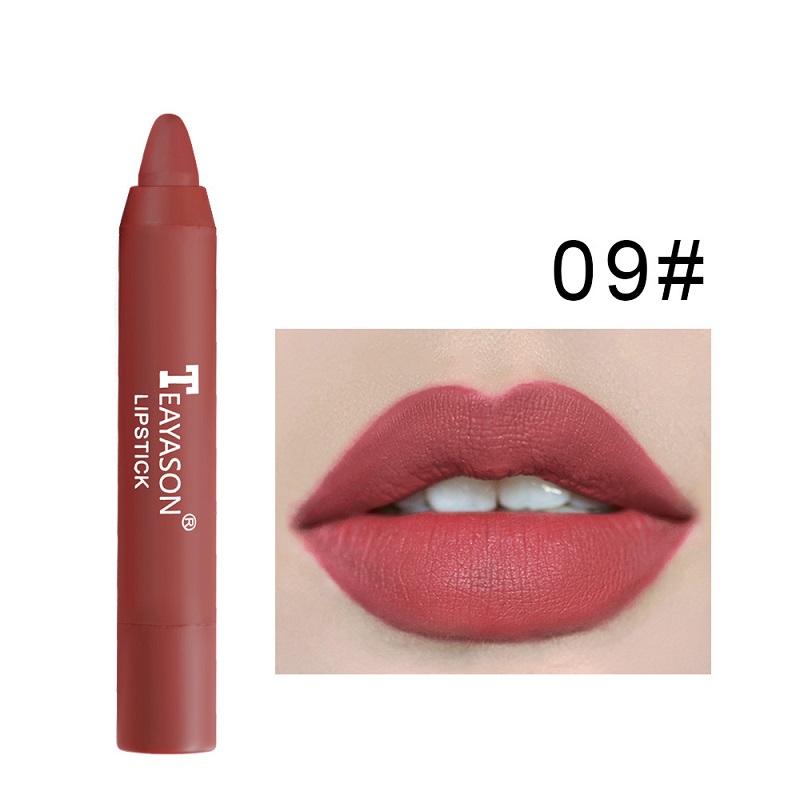 

TEAYASON 12 Color Matte Lipstick pen Natural Waterproof Long Lasting Easy to Wear Lips Woman Makeup Cosmetics, Customize