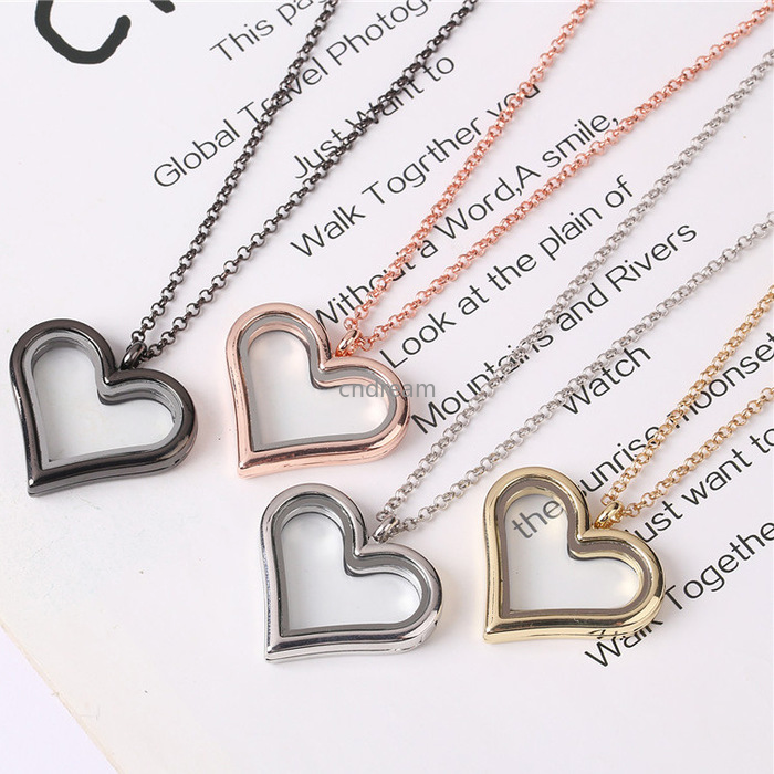 

DIY Floating Locket Heart Necklace Pendant Openable Living Memory Necklaces for Women Children Fashion Jewlery Will and Sandy, Silver