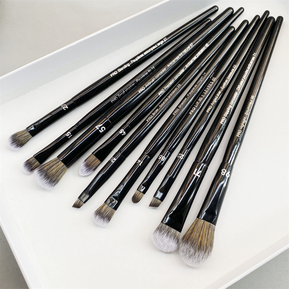 

Pro Eye Makeup Brush Set 10-Pcs Black Eyeshaodw Shaping Contouring Highlight Liner Lip Concealer Blending Cosmetics Beauty Tools
