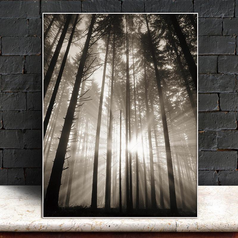 

Paintings Canvas Painting No Frame Sun Forest Nordic Abstract Hope Wall Picture Living Room Landscape Art Decoration Scandinavian