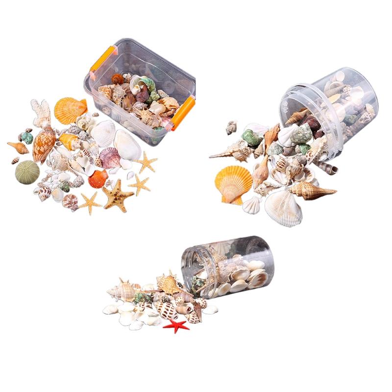 

Decorations Starfish Seashells Sea Snail Coral In Random Fish Tank Ornaments Aquarium Decoration Theme Party Decor DIY Crafts