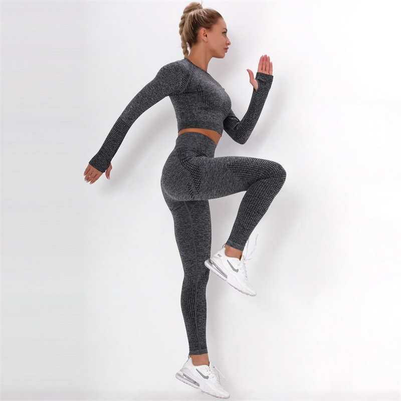 

Women Tracksuits Vital Seamless Yoga Set Gym Clothing Fitness Leggings+Cropped Shirts Sport Suit Long Sleeve Tracksuit Active Wear YJ006, Purple