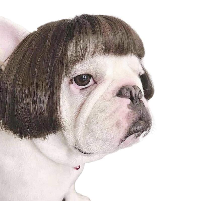 

Cat Costumes Pet Wigs Cosplay Props Funny Dogs Cats Cross-dressing Hair Hat Head Accessories For Party Christmas Pets Supplies#g4