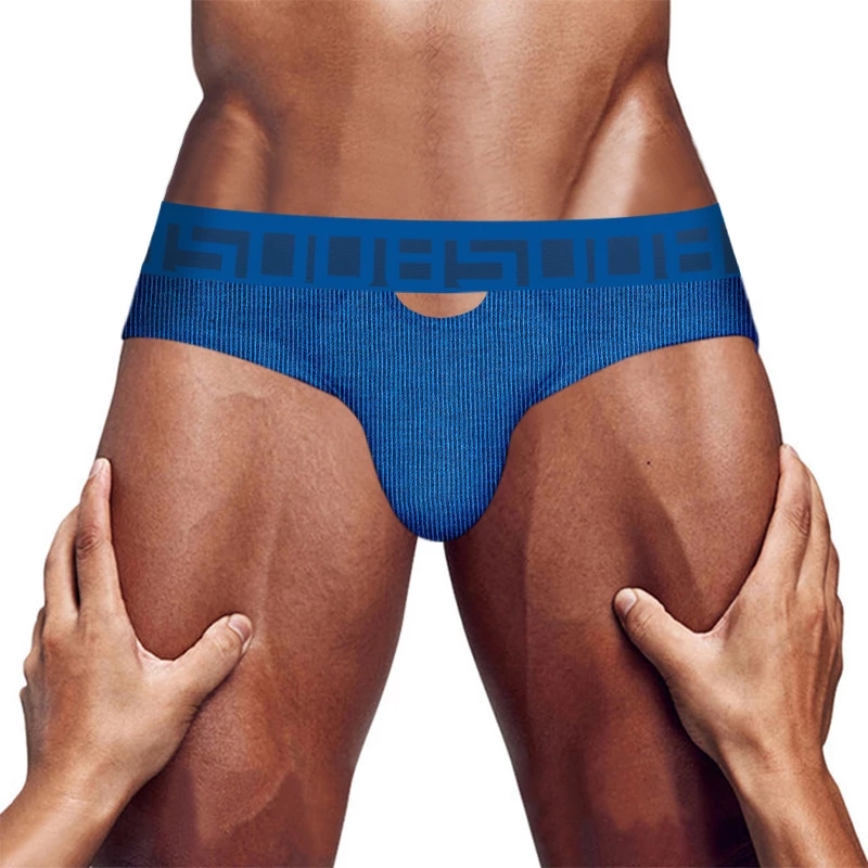 

Low Waist Cotton Men Briefs Gay Sexy Underwear Man Underpants Comfortable Male Panties Hollow Design Slip Hombre, Blue