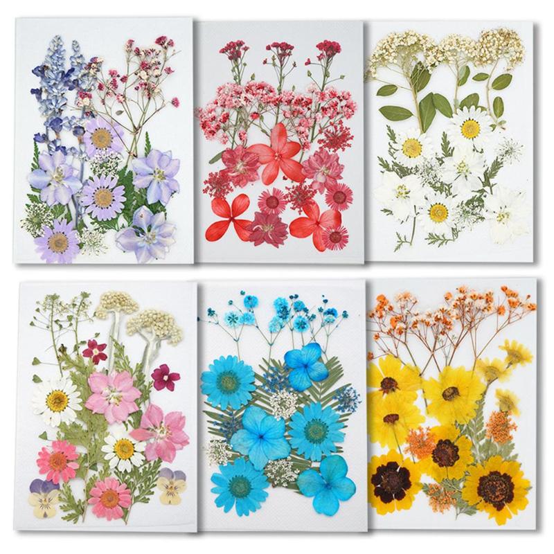 

Decorative Flowers & Wreaths Dried For Diy Handmade Jewelry Bookmarks Botanical Specimen Po Frame Makeup Decoration Necklace Making Craft Ac