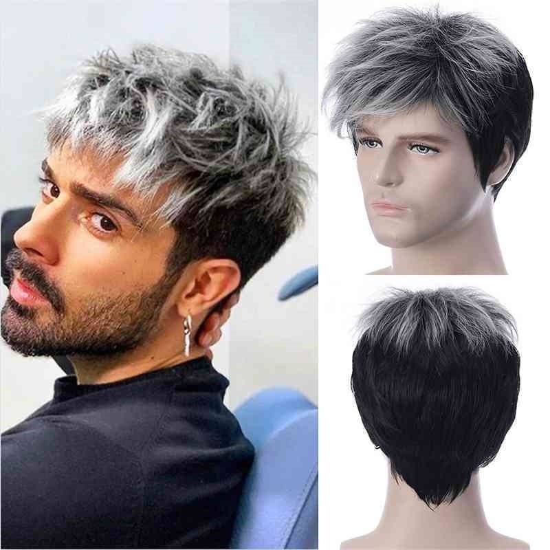 

wig short men's New silver elderly hair direct sales, Picture color