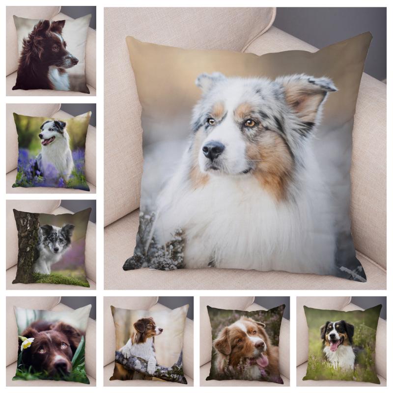 

Cushion/Decorative Pillow Cute Dog Australian Shepherd Case Decor Pet Animal Cushion Cover For Sofa Home Super Soft Short Plush Pillowcase 4
