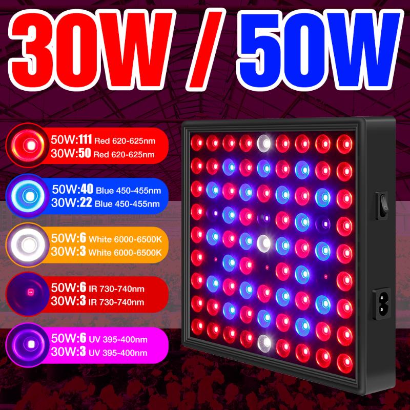 

LED Plant Light 220V Seedling Fito Lamp Full Spectrum Quantum Board Phyto Lamps For Cultivate Flower Seed Growing Lights Grow