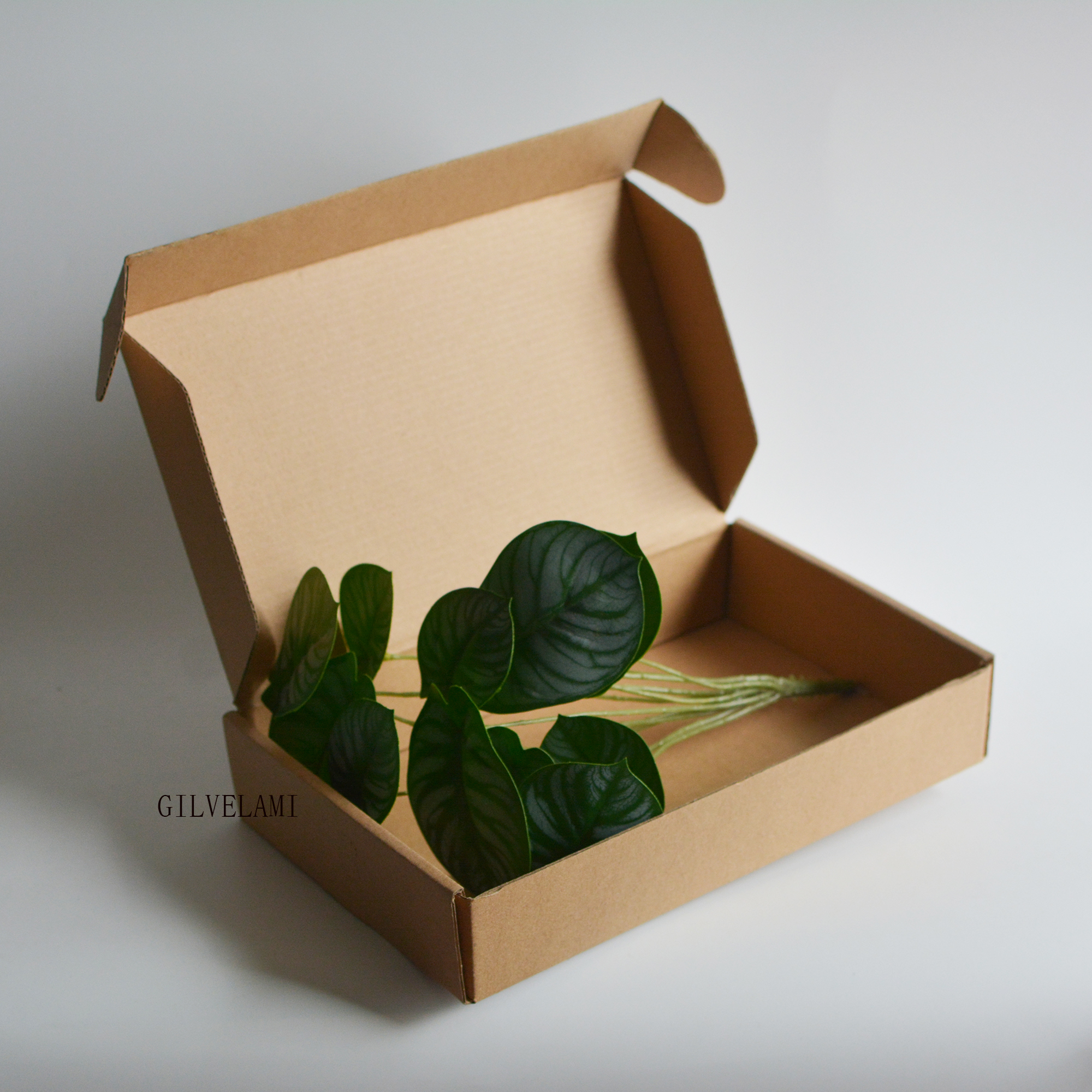 

Empty Cosmetic Bottles Packaging Paper Boxes, black/ white/ brown Colors