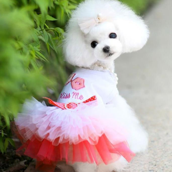 

Pet Dog Princess Puppy Dress Lace Skirt Dresses Cat Spring/summer Clothes Apparel Tutu Costume #W5