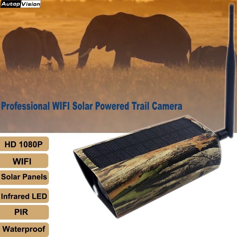 

Cameras Professional 1080P WIFI Trail Camera 2MP Solar Panels Wild Hunting With Infrared LED PIR Waterproof Night Vision SD Card