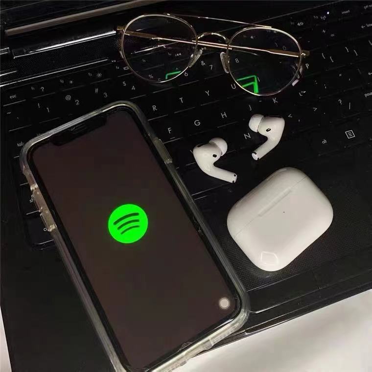 

Spotify Premium ---- 6 Months Instant Delivery |a great many\music