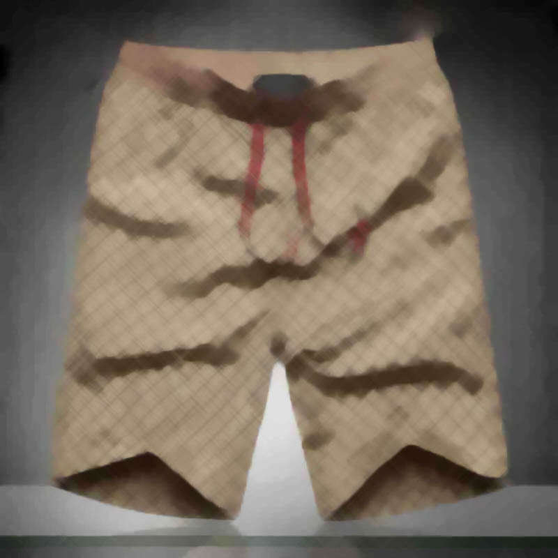 

Männer Sommer Slim Shorts Fitnessstudio Fitness Bodybuilding Laufen Männliche kurze Hose Knielänge Atmungsaktiv Mesh Sportbekleidungsdesigner Strandhosen