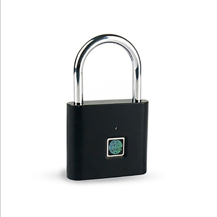 Metal Smart Cabinet Lock Household Padlock Security Intelligence Locker USB Rechargeable Safty Fingerprint Locks-image-717433557