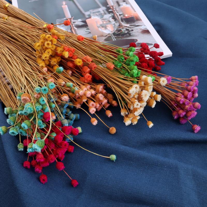 

Decorative Flowers & Wreaths 50pcs/Lot Natural Dried Flower Bouquet Real Plants For Home Wedding Party Decoration Ss Props DIY Gifts