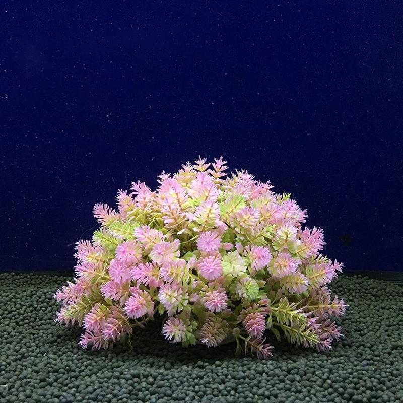 

Decorations Aquarium Decoration Accessories Fish Tanks And Aquariums Supplies Accessory Ornaments Aquatic Pet Products Home