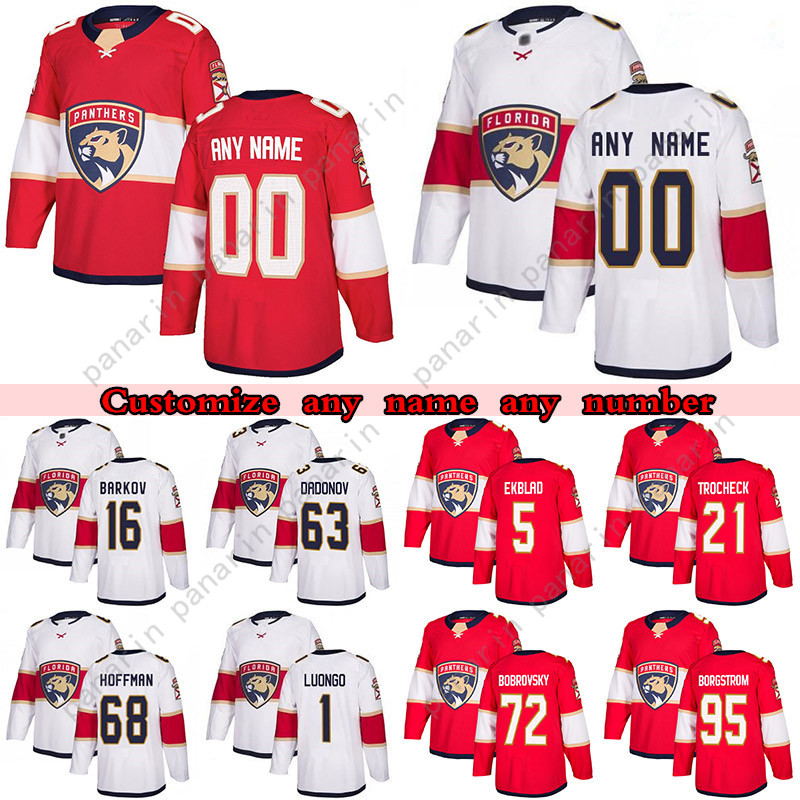 

Custom Florida Panthers hockey jerseys 55 noel acciari 72 Sergei Bobrovsky 1 Roberto Luongo 5 Aaron Ekblad any number and name, White