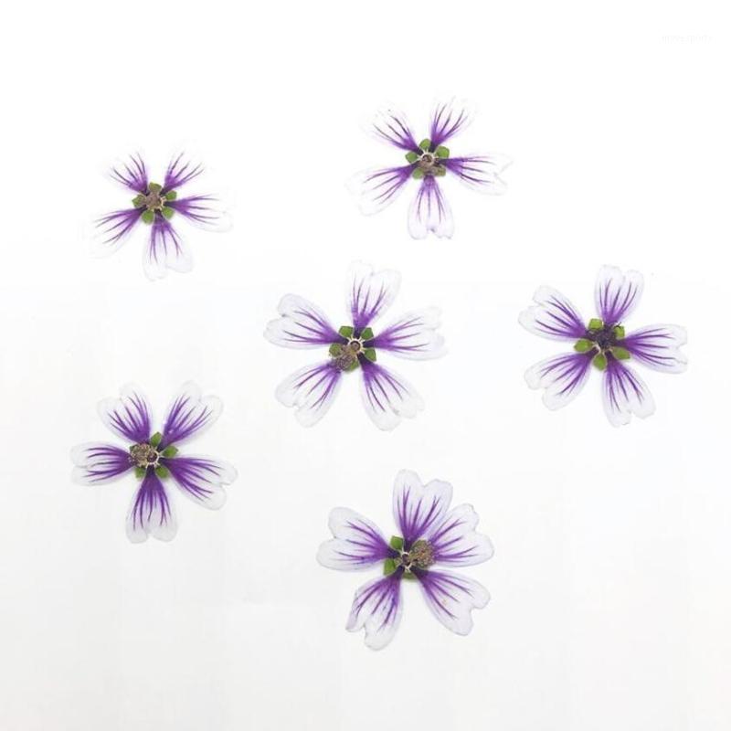 

120pcs Pressed Dried Malva Sinensis Cavan Flower For Epoxy Resin Pendant Necklace Jewelry Making Makeup Craft DIY Accessories1, Violet