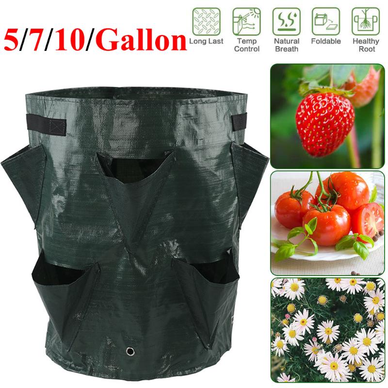 

Plant Grow Bag 5/7/10 Gallon Strawberry Planting Waterproof PE Colorful 8 Mouth Gardening Seedling Breeding D30 Planters & Pots