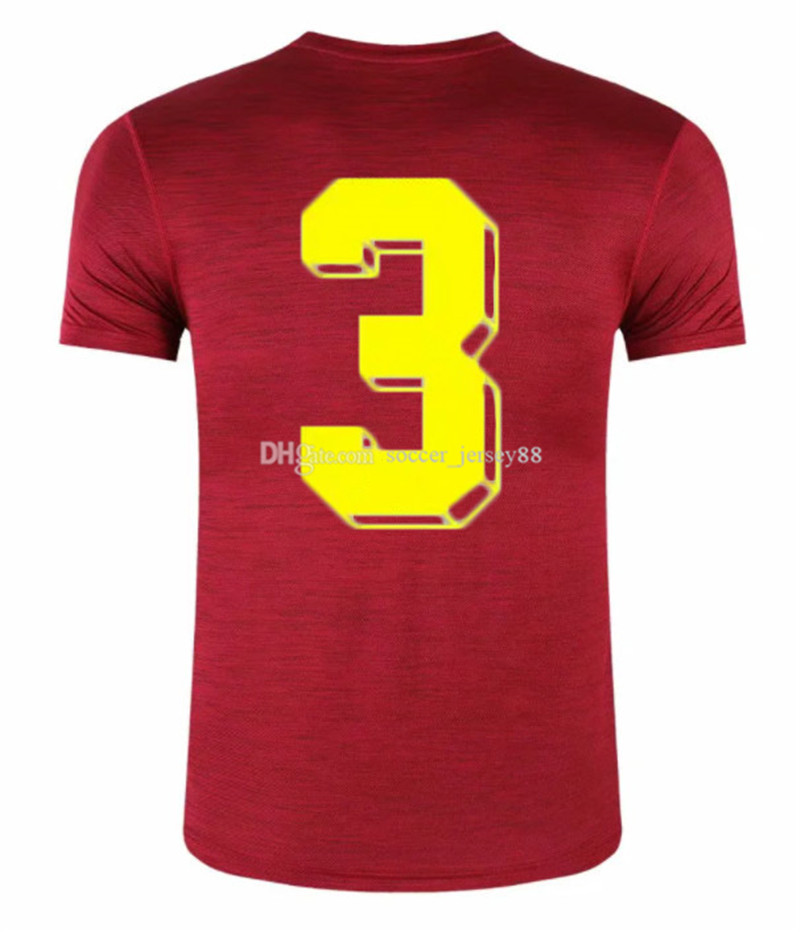 

Custom Men's soccer Jerseys Sports SY-20210148 football Shirts Personalized any Team Name & Number