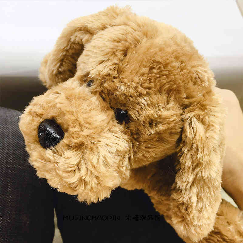 

Soft speckled dog children sleeping in their arms