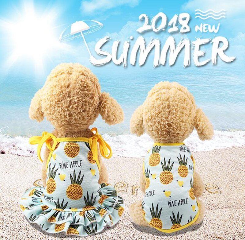 

Printing Clothing Fruit Puppy Dress Skirt Pet T Shirts Cat Dog Costume Banana Strawberry Pineapple Pattern f