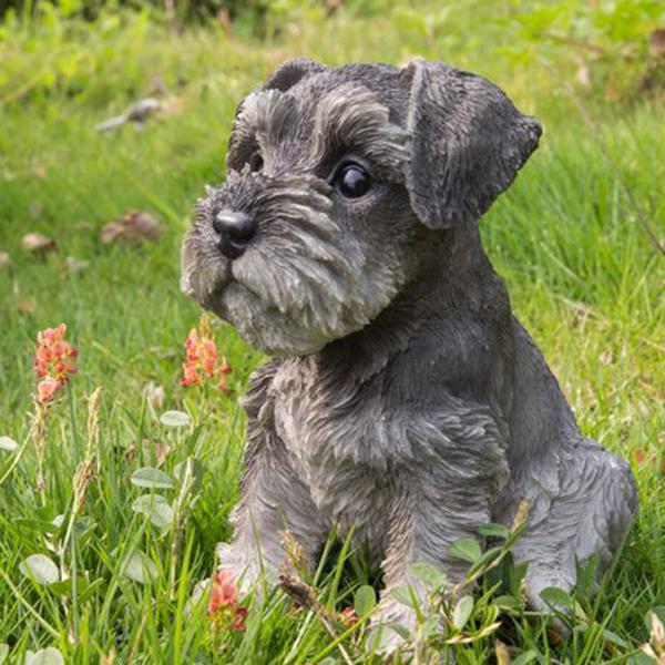 

Garden Decorations 2021 Sitting Schnauzer Puppy Statue Resin Lawn Sculpture Super Cute Yard Decor Statues