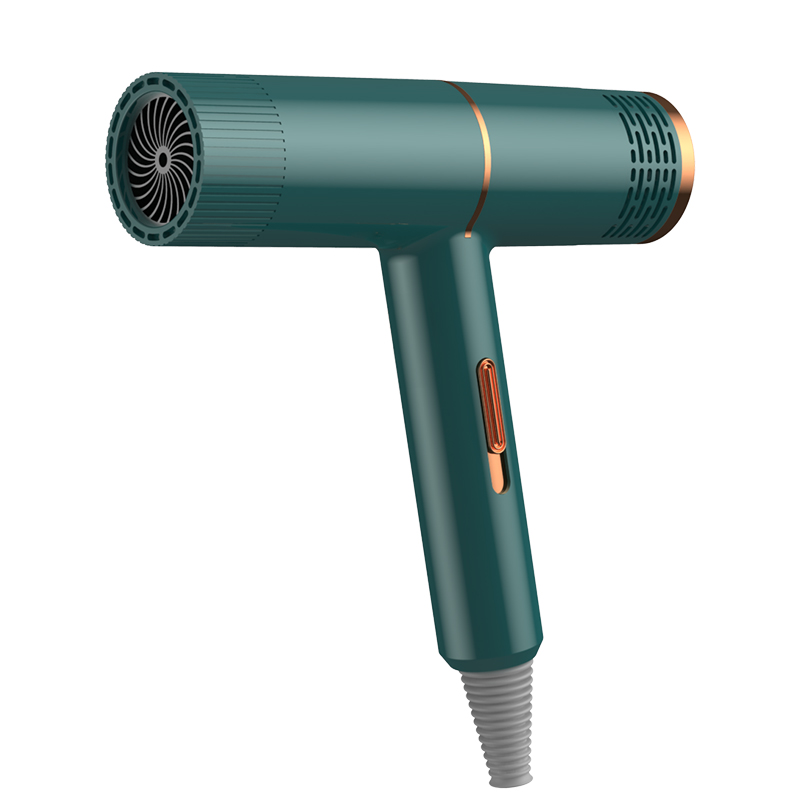 

Deep Green Hair Dryer Blowing Anion Negative Ionic Electric Blow Dryer Diffuser Hot Cold Wind Low Noise Hair Drying Styling Tool