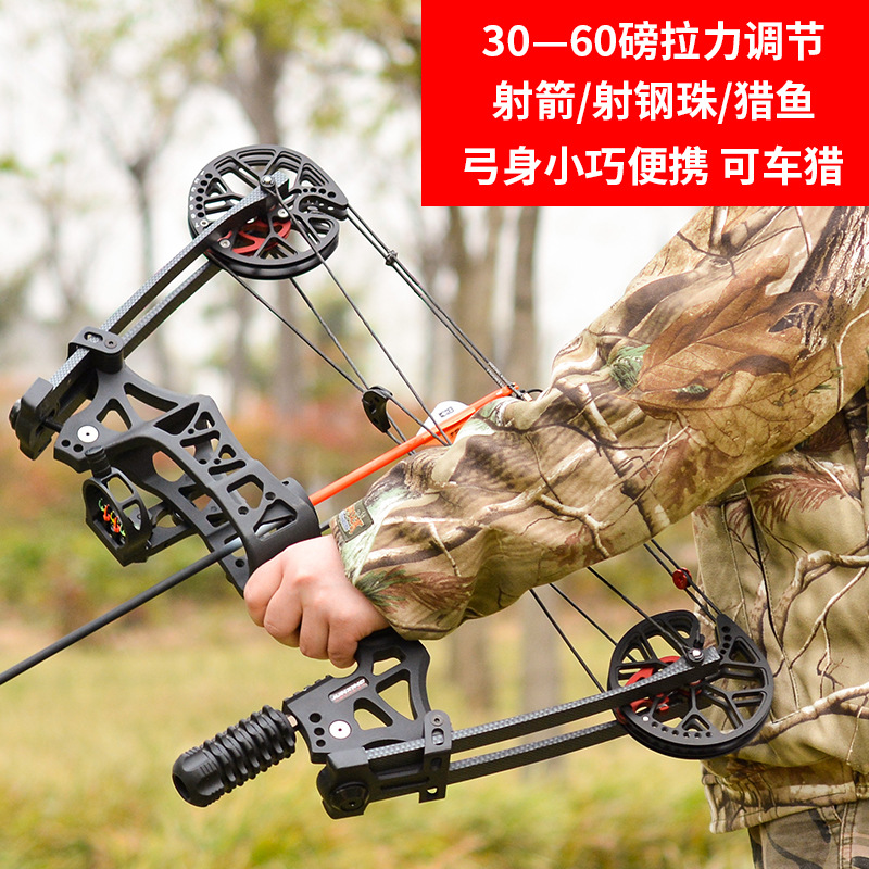 

Compound Bow Falcon Rally Pounds Adjustable Metal Steel Ball Archery Dual-use Athletic Outdoor Competition