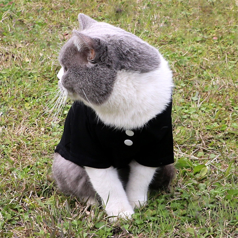 

6 Colors Solid Dog Apparel Summer Breathable Pet POLO Shirts Trendy Personality Charm Cat Cotton T Shirt, As pic