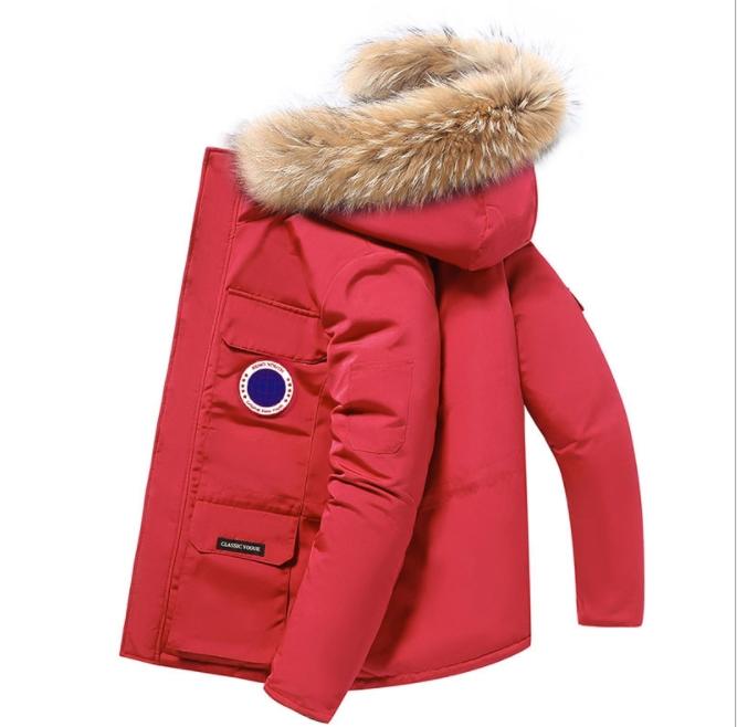 

Luxury Mens Designer Jackets New Brand Down Goose feather Jacket with Letter Highly Quality Winter Coats Sports Parkas Top Clothings red, Beige