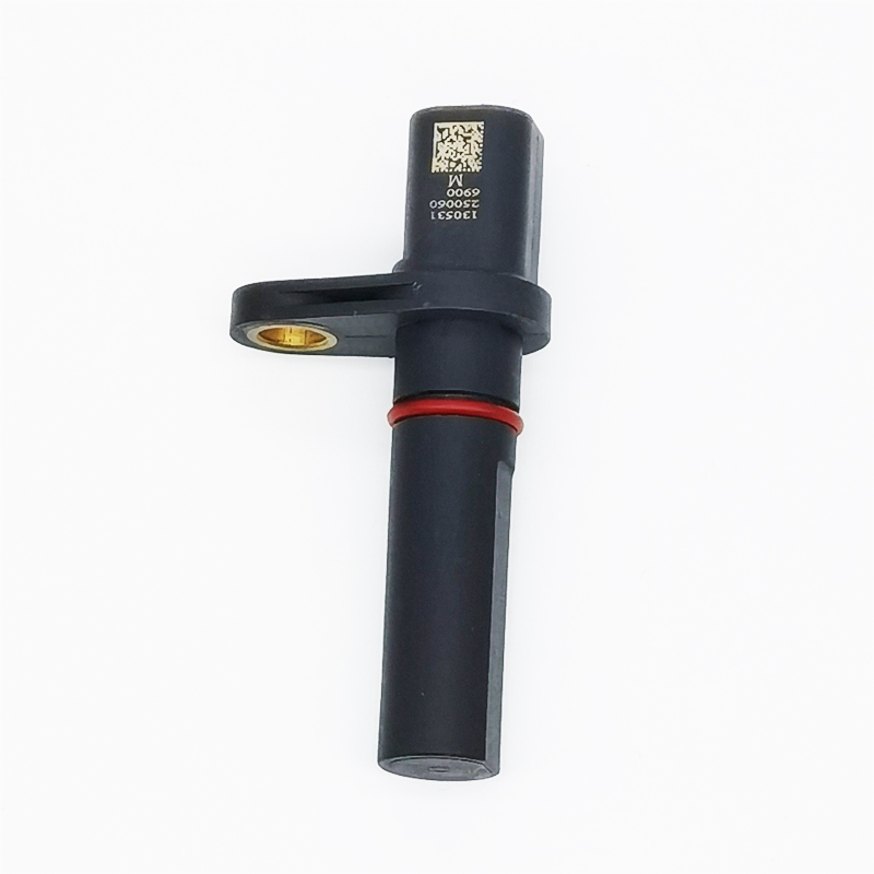 Transmission Input/Output Shaft Speed Sensor For Ford Focus Fiesta Ecosport AE8P-7M101-BA AE8Z-7M101-B 250060 6900-image-754110309