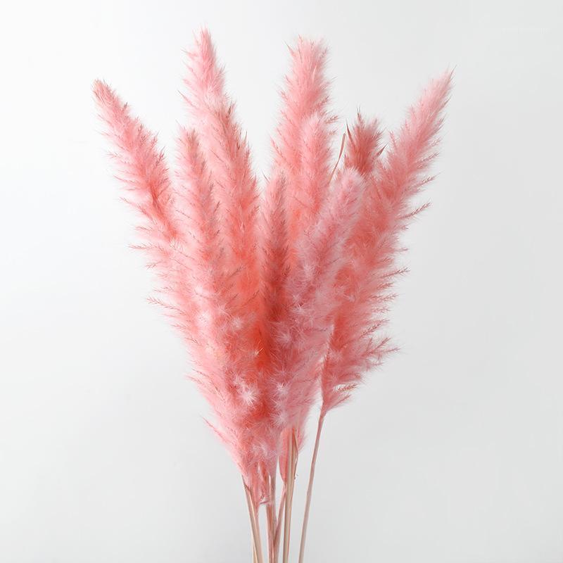 

Decorative Flowers & Wreaths 10PCS Bulrush Natural Dried Artificial Plants Branch Pampas Grass Phragmites Fake Flower Wedding Home Decoratio