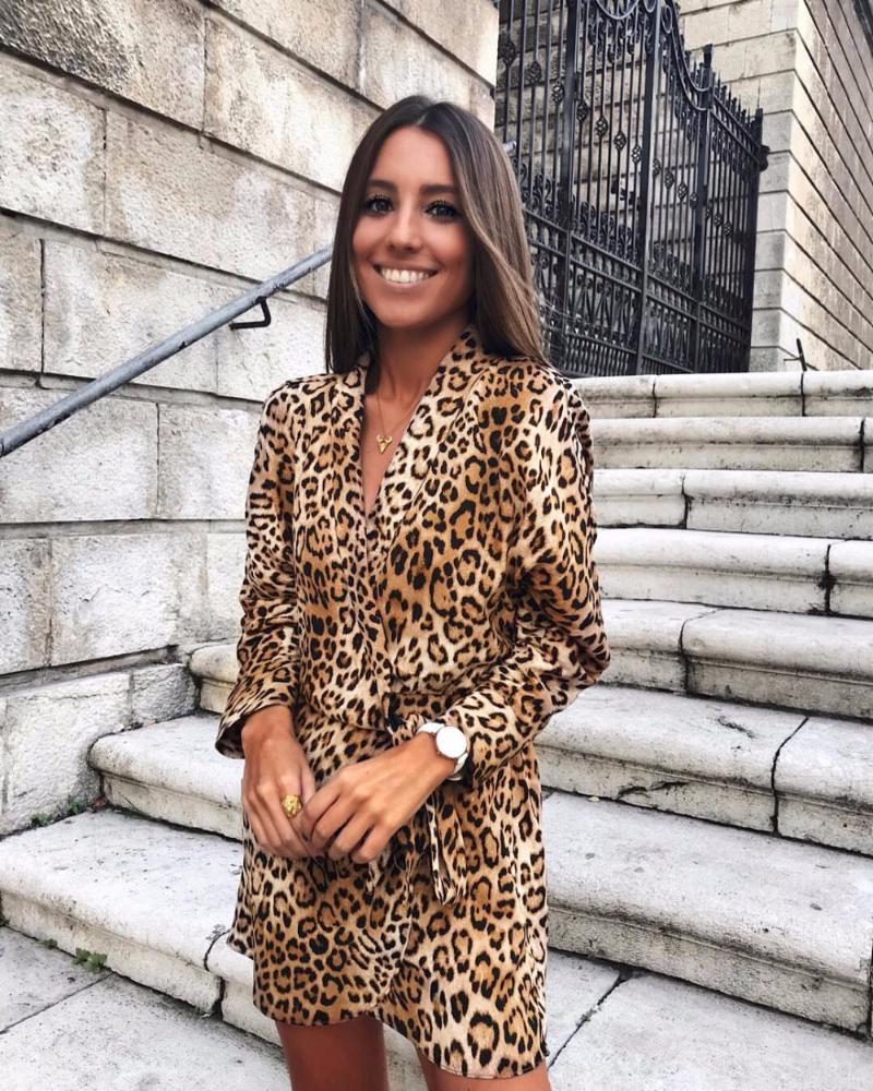 

Casual Dresses Women' Long Sleeved Fashion Leopard Print Dress Autumn Winter Holiday Beach Party Clothing, Gray