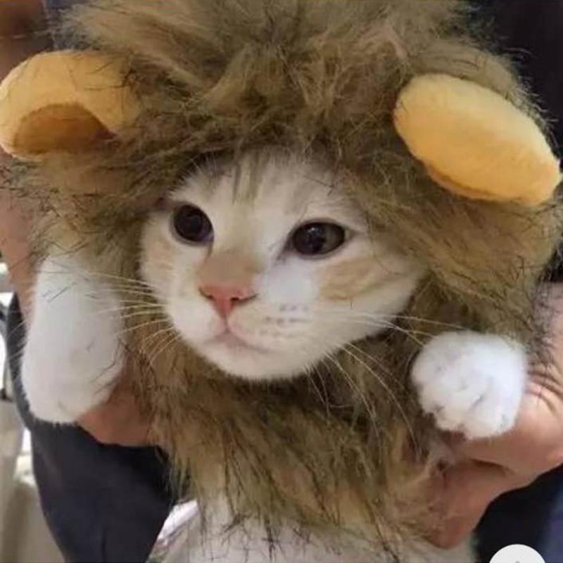 

Cat Costumes Pet Dog Emulation Lion Hair Mane Ears Head Cap Autumn Winter Dress Up Costume Muffler Scarf Drop