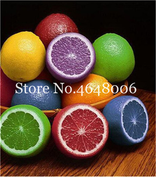 

50 Pcs seeds Edible Fruit Meyer Lemon Bonsai Plants Exotic Colorful Citrus Limon Tree Fresh Fruit Vegetable High Survival Rate Natural Growth Variety of Colors